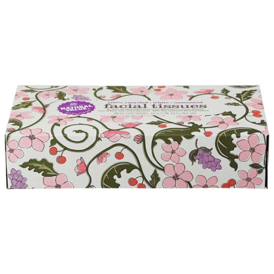 An image displaying Natural Value - Facial Tissue 2ply - Case Of 30 - 100 Count by Natural Value