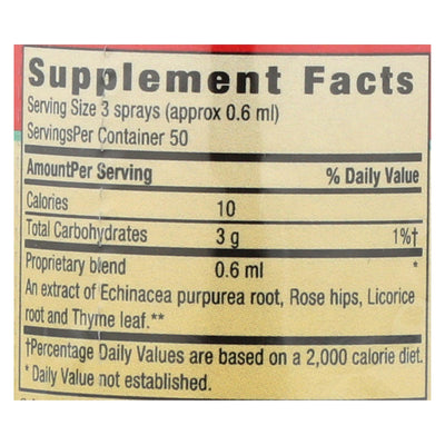 Herbs For Kids Super Kid's Throat Spray Peppermint - 1 Fl Oz - Orca Market