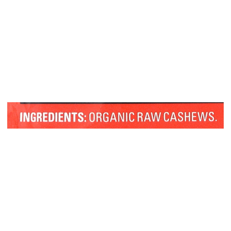 An image displaying Artisana Organic Raw Cashew Butter - Squeeze Packs - 1.06 Oz - Case Of 10 by Artisana