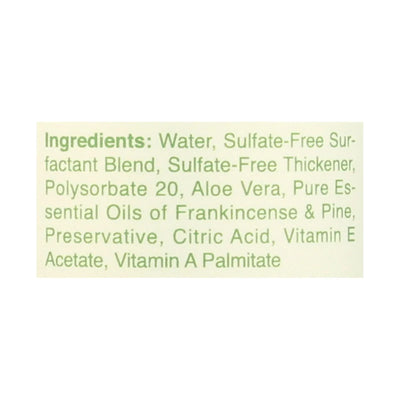 An image displaying Rebel Green - Liquid Dish Soap - Frankincense And Pine - Case Of 4 - 16 Ounce by Rebel Green