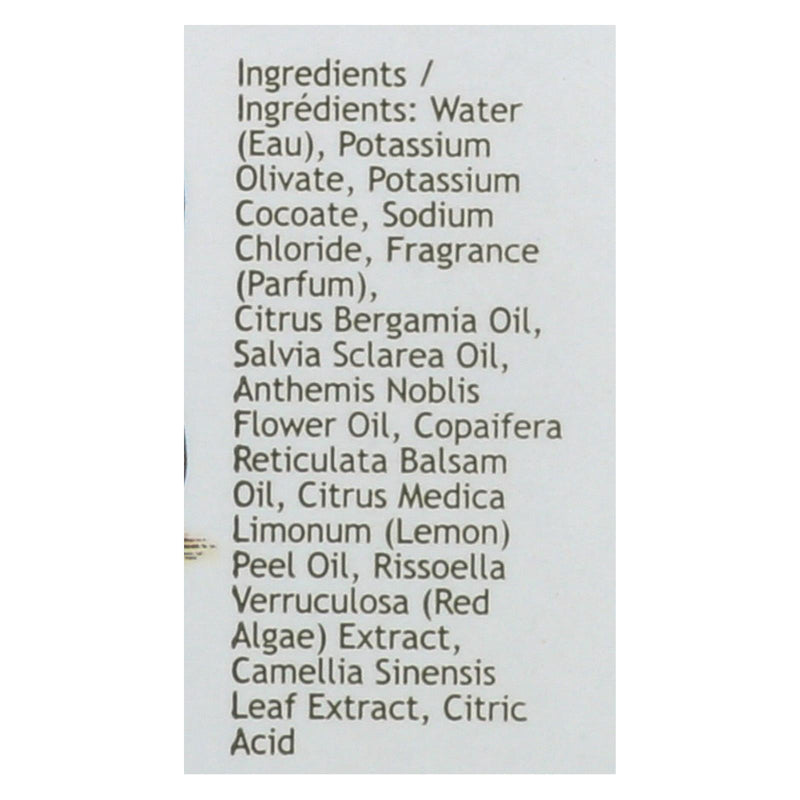 South Of France Hand Wash - Green Tea - 8 Oz - 1 Each - Orca Market