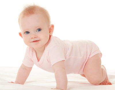 An image displaying Infant Sweatshirt, Onezie And Pants - 3 Piece Set by Bambini