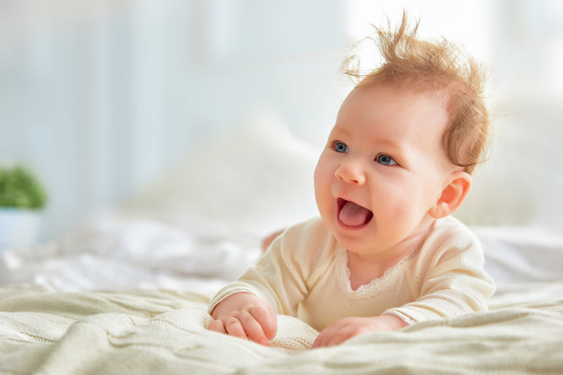 An image displaying 8 Baby Bibs by Bambini