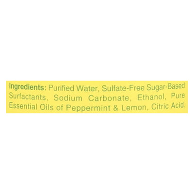 An image displaying Rebel Green Glass Spray - Peppermint Lemon - Case Of 4 - 32 Ounce by Rebel Green