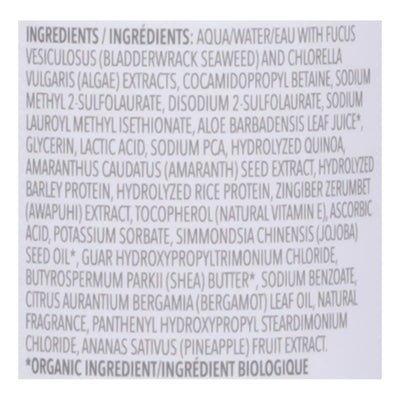 The Seaweed Bath Co - Gloss Shampoo Ssalt Brgmt - Ea Of 1-12 Fz