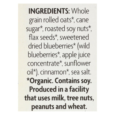 Nature's Path Organic Optimum Power Flax Cereal - Blueberry Cinnamon - Case Of 6 - 11.2 Oz. - Orca Market