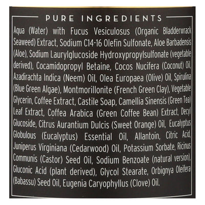 The Seaweed Bath Co Bodywash - Detox - Purify - Refresh - 12 Fl Oz - Orca Market