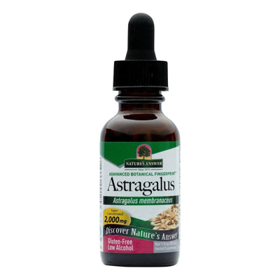 An image displaying Nature's Answer - Astragalus Root - 1 Ounce by Nature's Answer